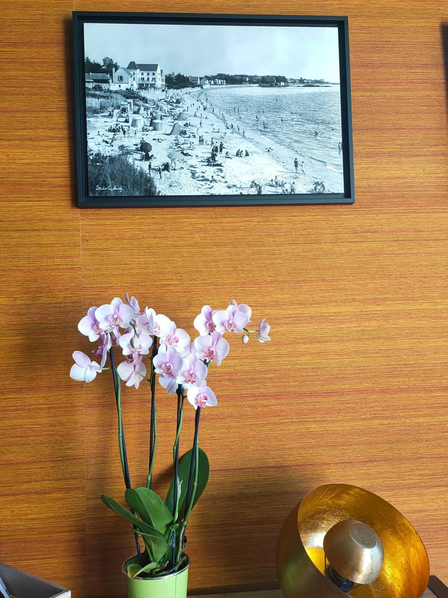 This One Concarneau Extérieur photo